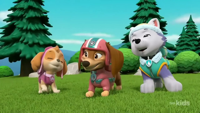 Paw patrol 2024 mountain rescue