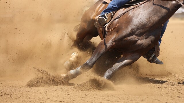 Sandhills Stock Show and Rodeo