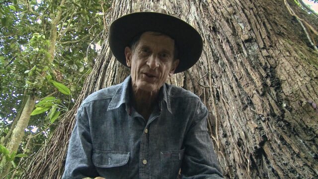 In the Americas With David Yetman