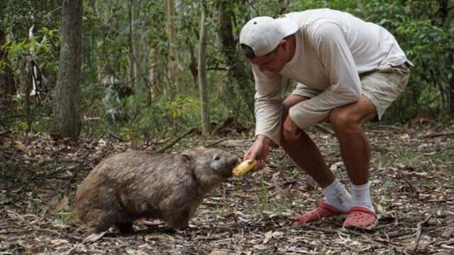 Wild Frank: Tras la evolución de las especies