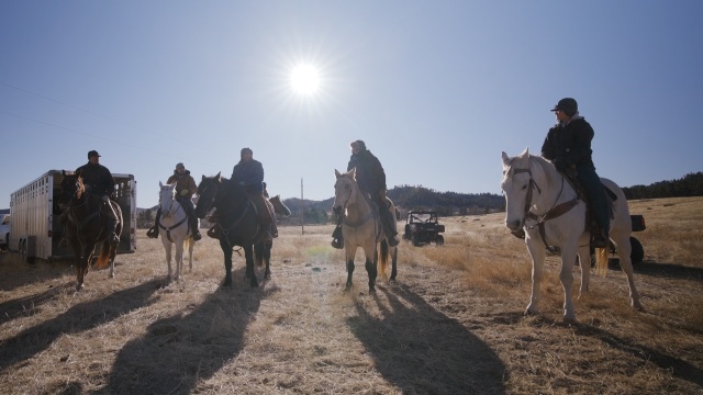 Heartland Docs, DVM