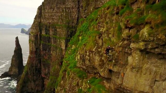 The Dodo of the North