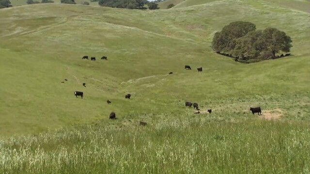 America's Heartland