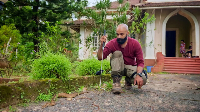 Snakes SOS: Goa's Wildest