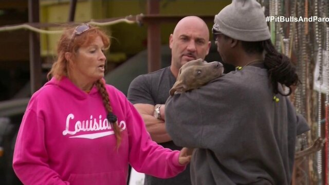 Pit Bulls and Parolees