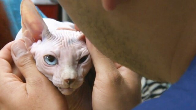 Dr. Jeff: Rocky Mountain Vet