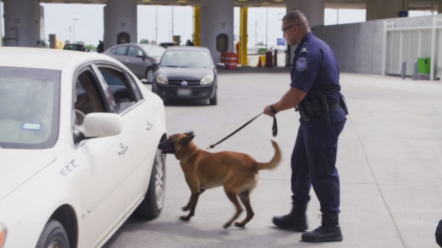 Contraband: Seized at the Border