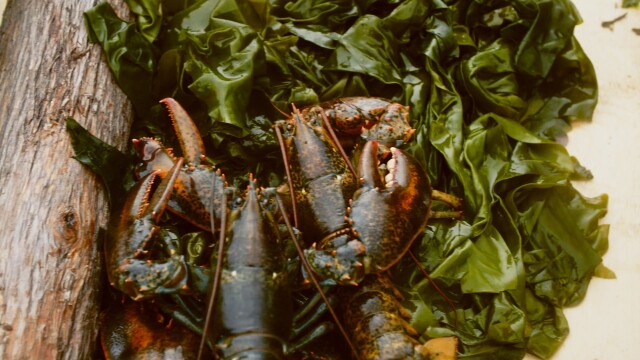 Chuck and the First Peoples' Kitchen