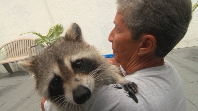 Unlikely Animal Friends