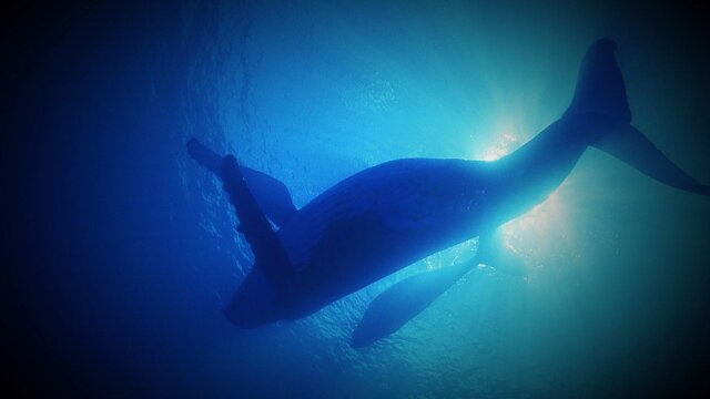 The Proof Is Out There