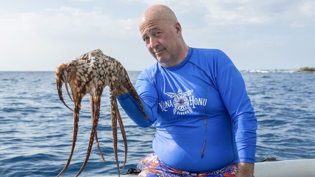 Bizarre Foods With Andrew Zimmern