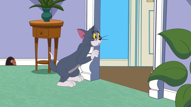 The Tom and Jerry Show