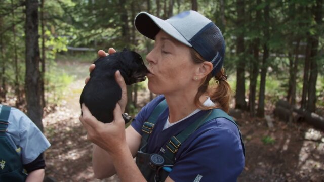 Dr. Oakley, Yukon Vet