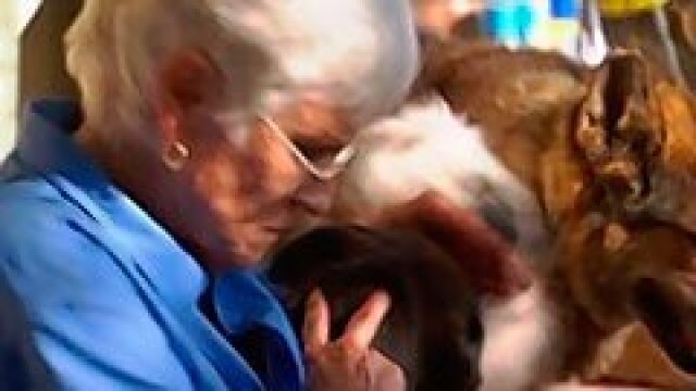 Dog Whisperer