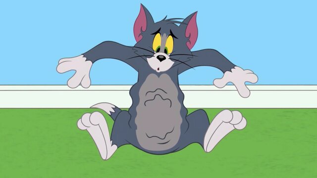 The Tom and Jerry Show