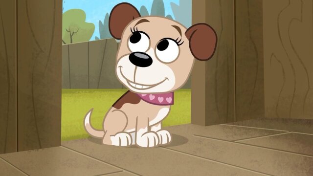 Pound Puppies