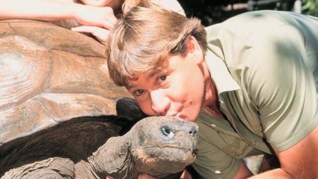 The Crocodile Hunter