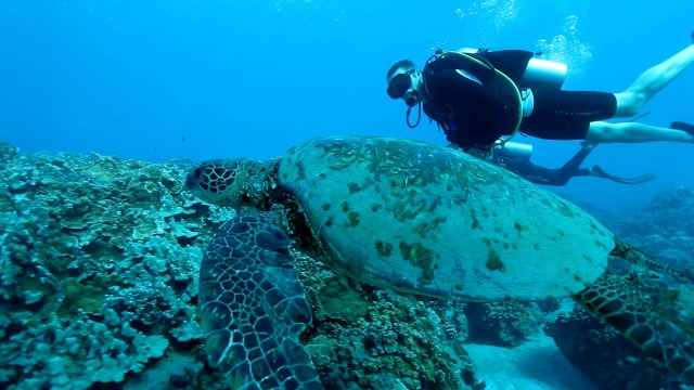 Xploration Awesome Planet