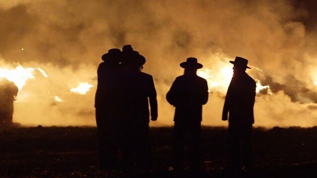 Amish Mafia