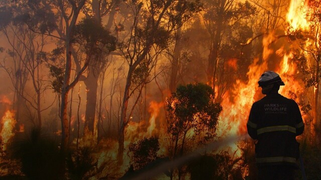 Bushfire Wars