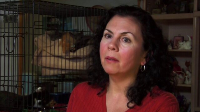 My Strange Addiction