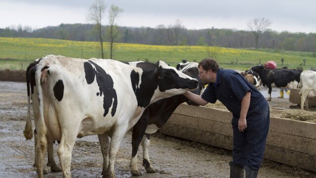 The Incredible Dr. Pol