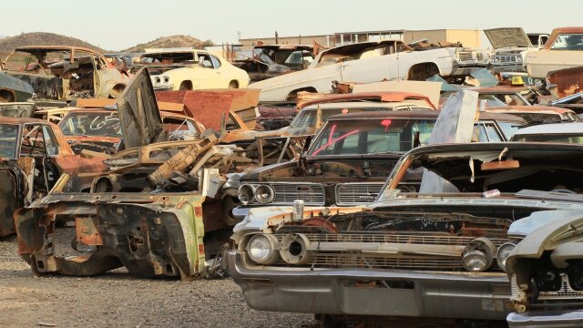 Desert Car Kings