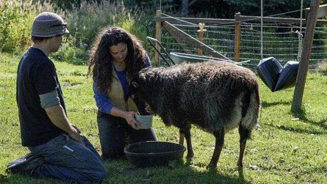 Alaska: The Last Frontier