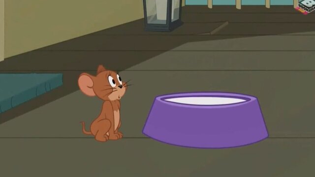 The Tom and Jerry Show