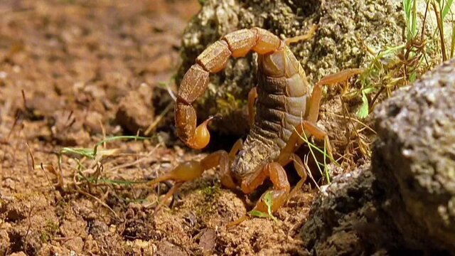 Peligros de la naturaleza