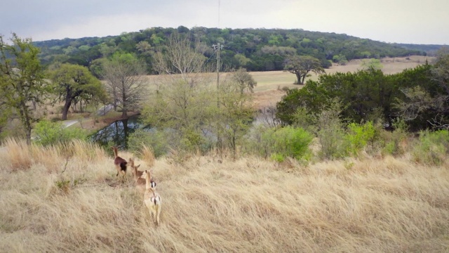 Andrew Zimmern's Wild Game Kitchen