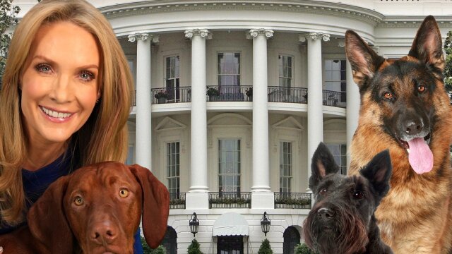 Presidential Pooches With Dana Perino