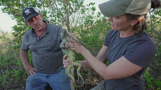 Swamp People: Serpent Invasion