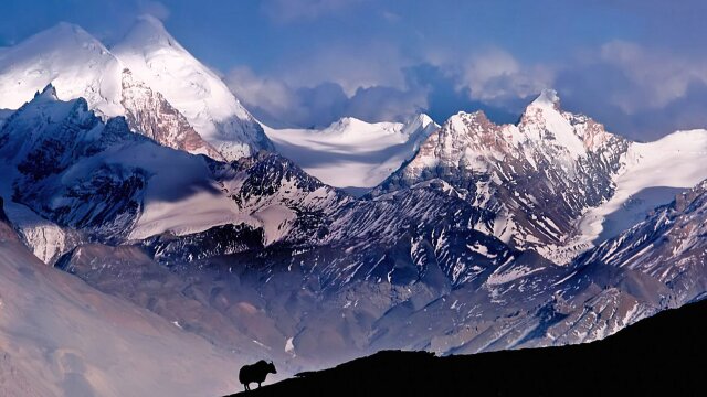 Earth's Natural Wonders