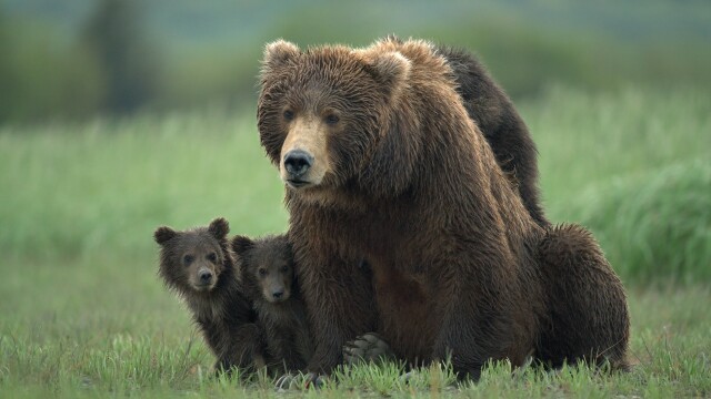 National Parks: USA