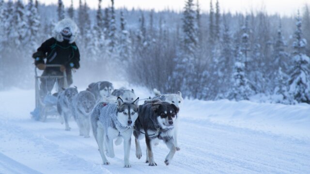 Life Below Zero: Northern Territories