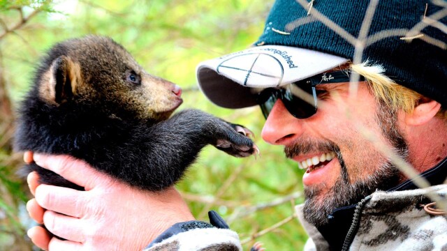 Bear Whisperer