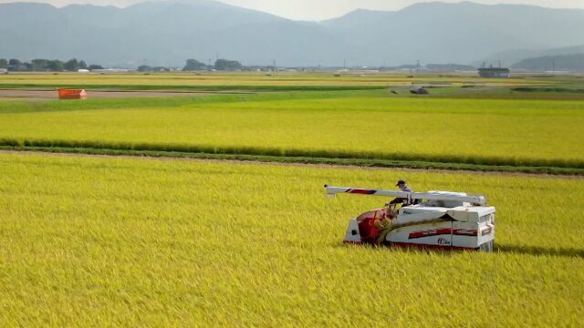 Japan From Above: Up Close