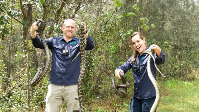 Aussie Snake Wranglers