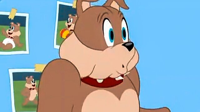 The Tom and Jerry Show