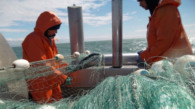 Alaska Fish Wars