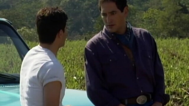 Cañaveral de pasiones