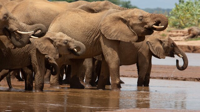 Chasing the Rains