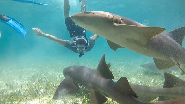 El viajero con Josh Garcia