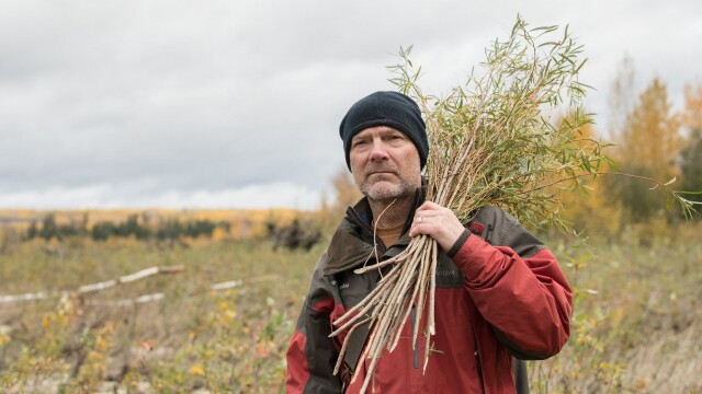 Les Stroud's Wild Harvest