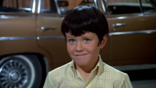 The Brady Bunch