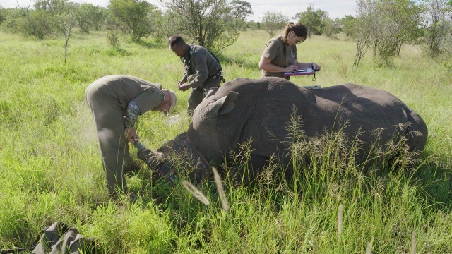 Extreme Airport Africa