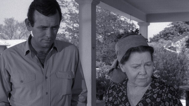 The Fugitive