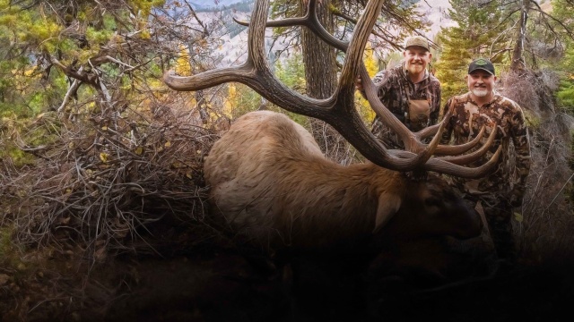 Elk Hunting With Jason Phelps