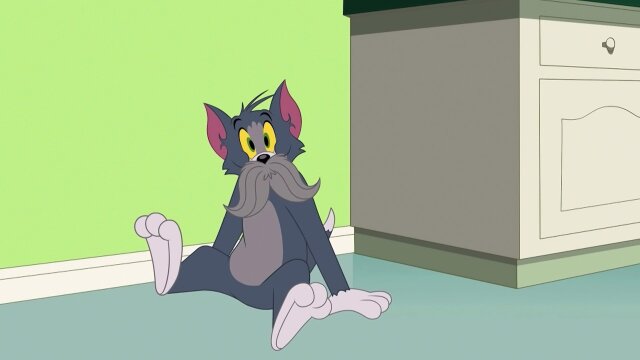 The Tom and Jerry Show